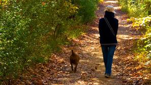 (Foto: Shutterstock)