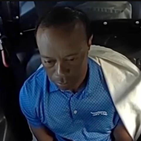 tiger woods