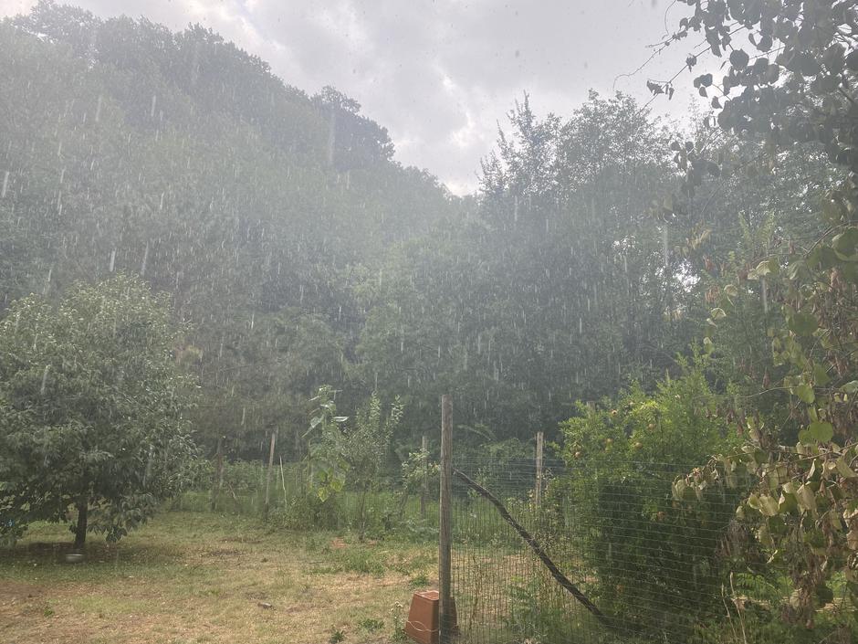 Naliv | Avtor: bralka