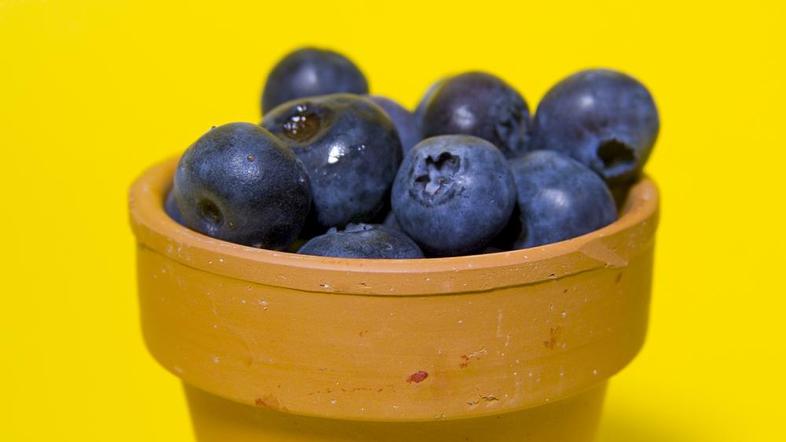 Borovnice spadajo med super živila. (Foto: Shutterstock)