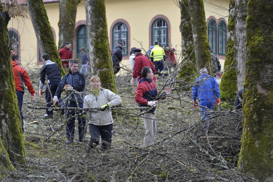Žurnalova delovna brigada čiščenje gozda Snežnik
