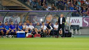 Darko Milanič Ljudski vrt