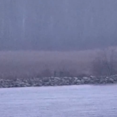 ruski vojaki v estoniji