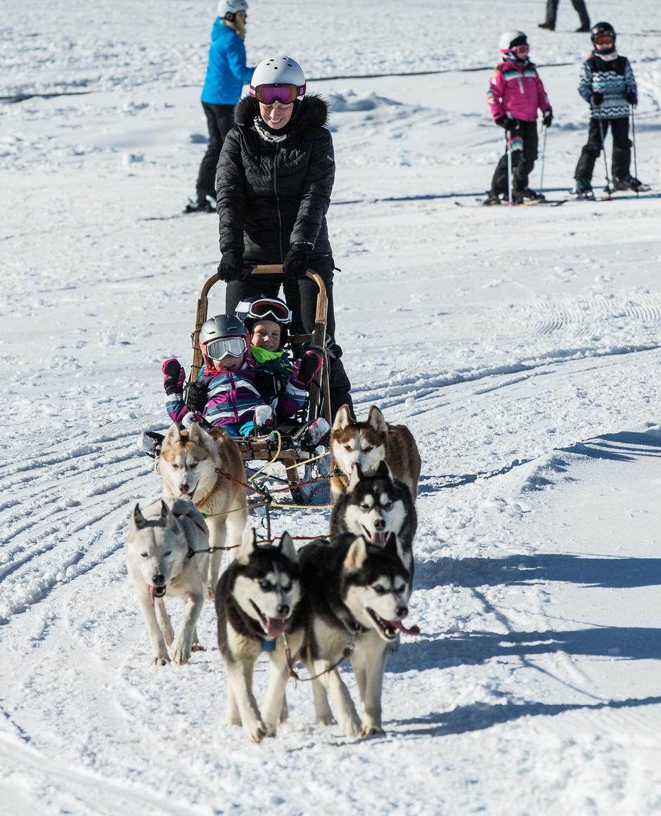 Rogla | Avtor: Vid Ponikvar