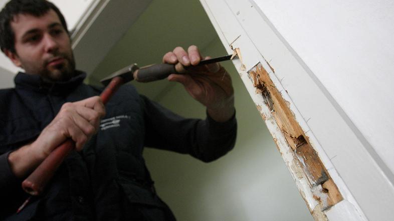 Slika je simbolična. (Foto: Barbara Milavec)