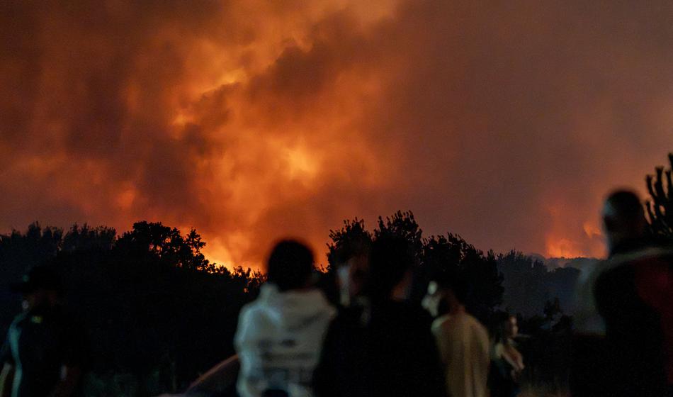 Namerni požigi gozdov kažejo na luknjo v evropskem sistemu