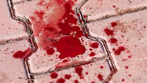 (Foto: Shutterstock)