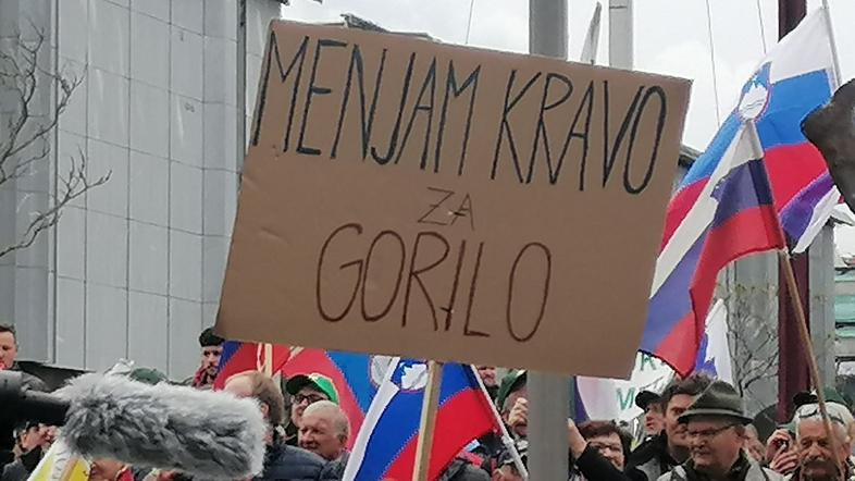 Protest kmetov v Ljubljani