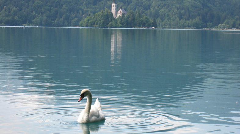 (Foto: Renata Škrjanc)