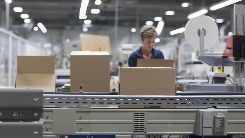 Delavka v tovarni, fotografija je simbolična