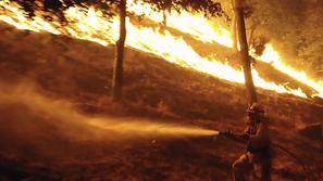 Grške oblasti so zaradi gozdnega požara na zahodu otoka Samos razglasile izredne