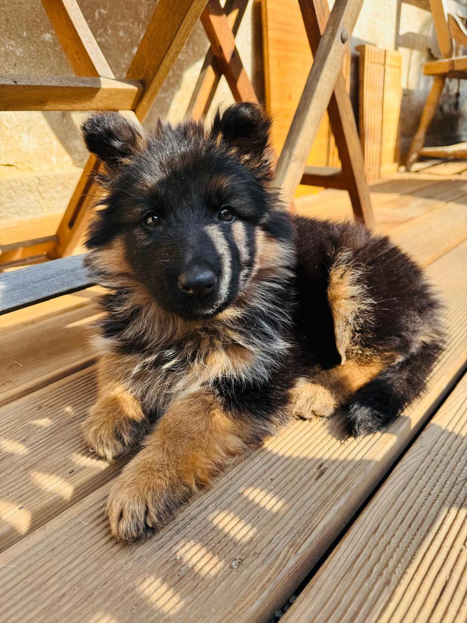 veronika žajdela | Avtor: Osebni arhiv