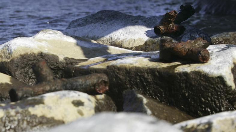 Kovinski deli so morda ostanki sto let pogrešanega letala. (Foto: Reuters)