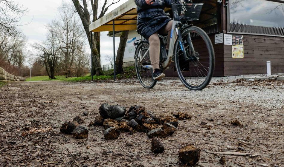 "Obsojamo vsakršno obliko nasilja in zlorabe"