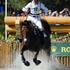 Eventing Cross Country, World Equestrian Games in Lexington, Kentucky