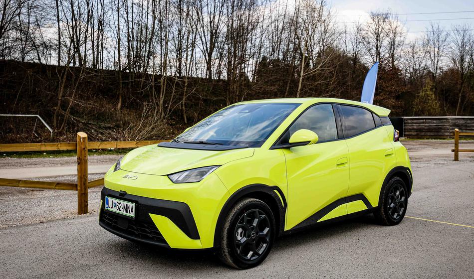 Za te električne avtomobile trenutno vlada največ zanimanja