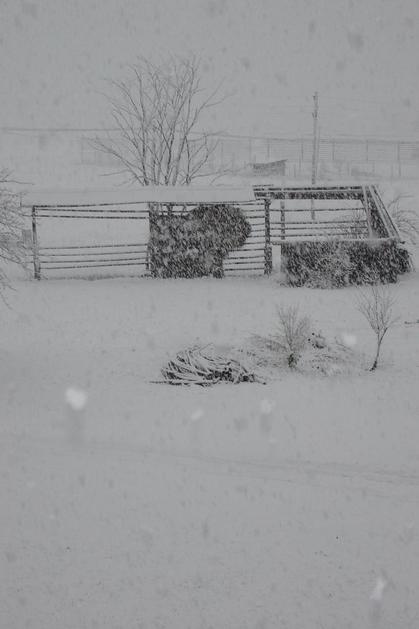 kranjska gora, sneg, vozišče, cesta