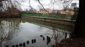 Strokovnjaki z zavoda za ribištvo bodo nadzorovali praznjenje ribnika in ob tem 