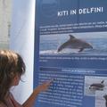 Dan delfinov v Piranu