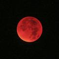 Krvavo rdeći lunin mrk