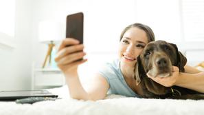 Selfi, pes, mobilni telefon