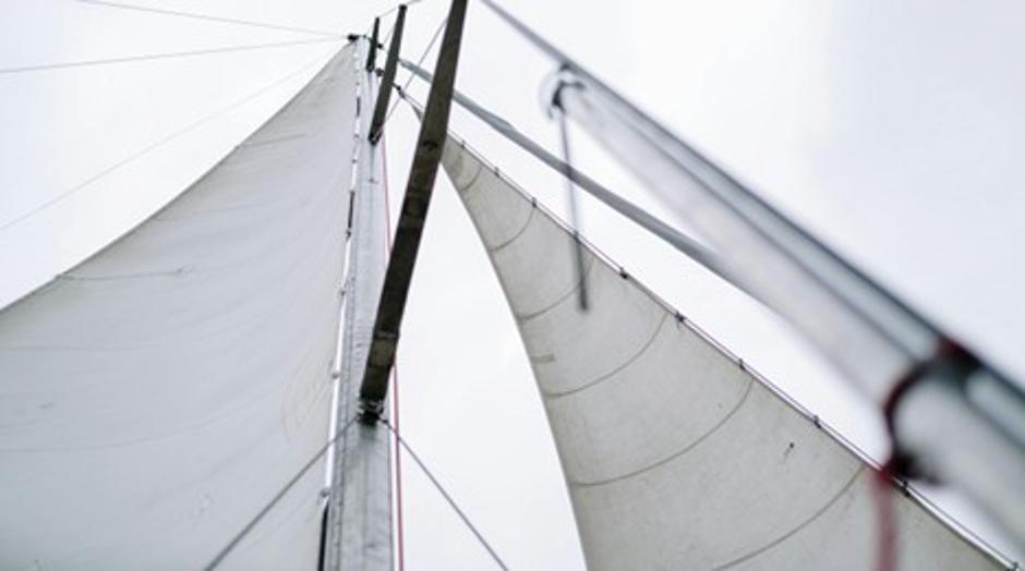 web center | Avtor: web-center.si