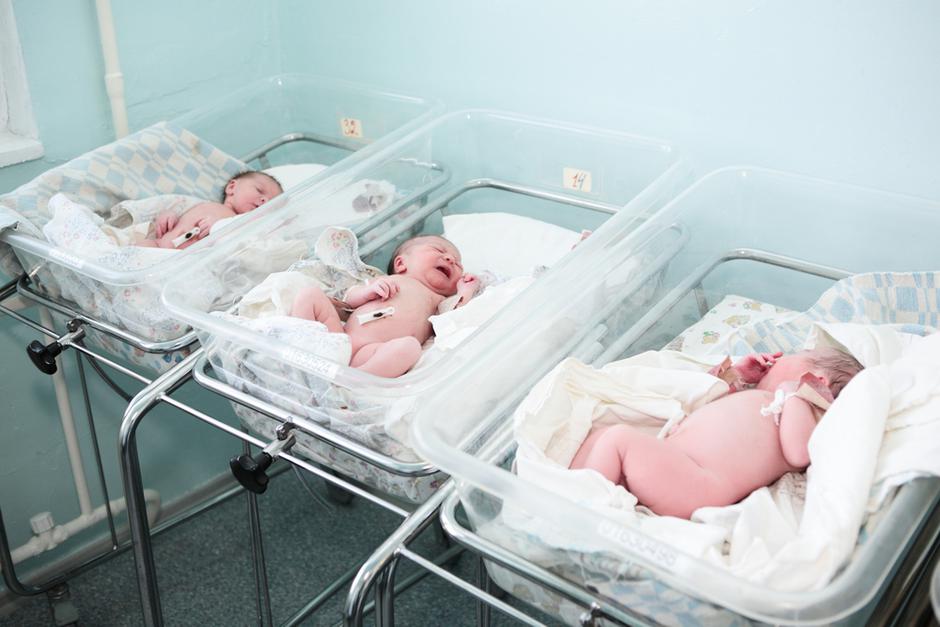 dojenček porodnišnica | Avtor: Shutterstock