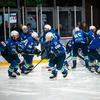 slovenska hokejska reprezentanca