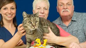 Najstarejši maček na svetu