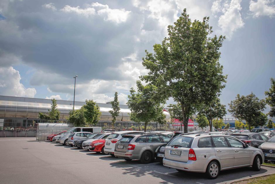 onesnaženje | Avtor: Saša Despot