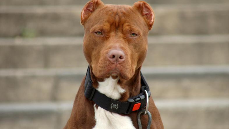 Fotografija je simbolična. (Foto: Shutterstock)