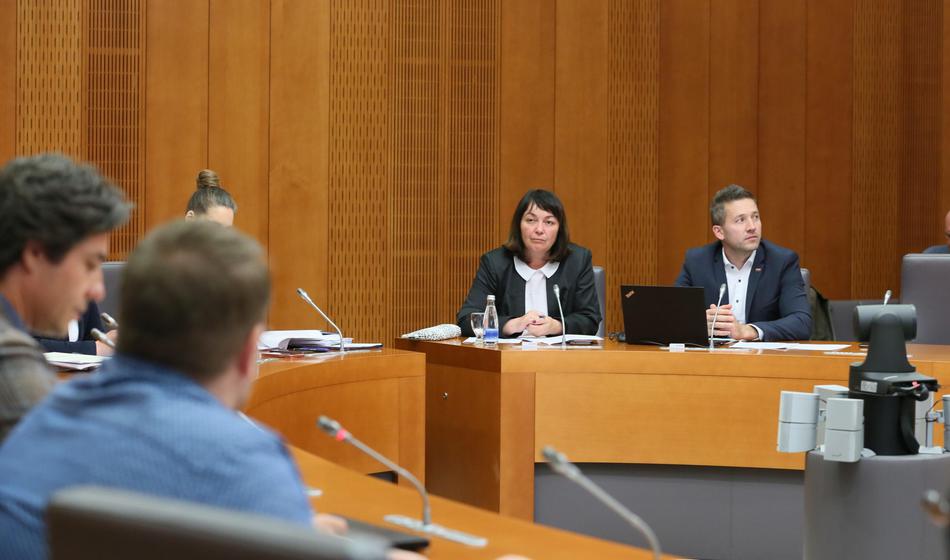 Policisti pri nekdanji poslanki SDS opravili hišno preiskavo in našli konopljo