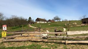 kmetija: nov začetek