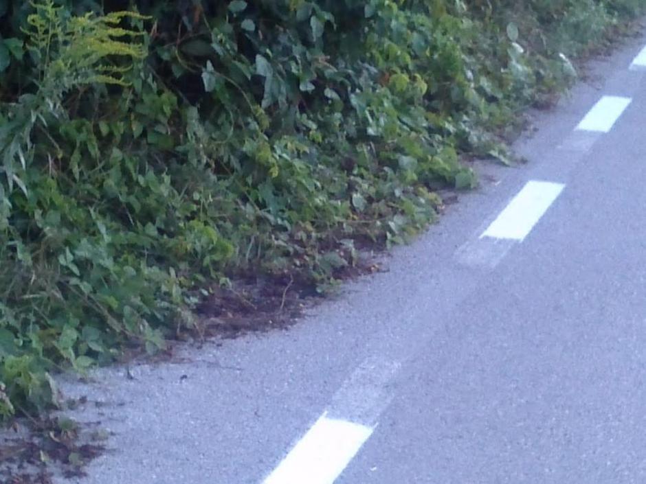 Večna pot kolesarska | Avtor: Žurnal24 main