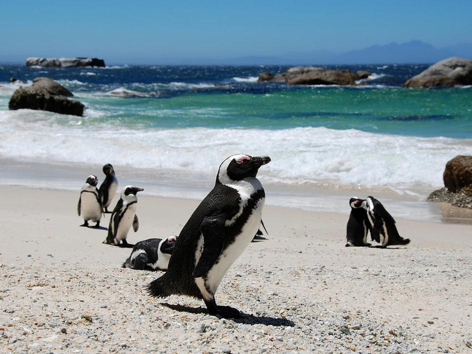 (Foto: Shutterstock)