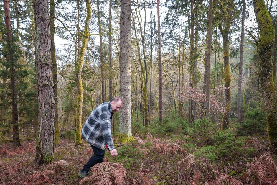 Andrej Kastelic | Avtor: Saša Despot