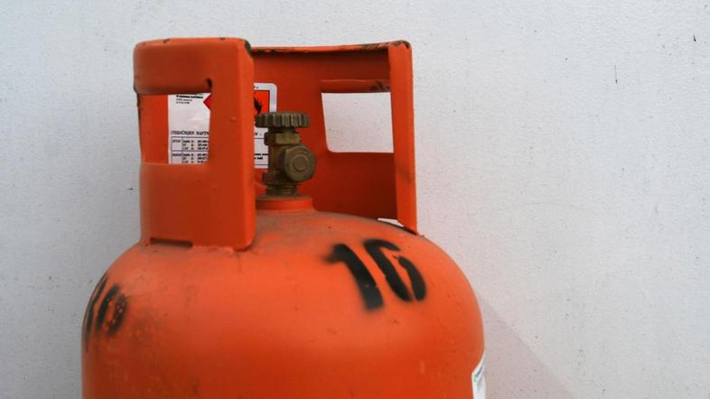 (Foto: arhiv Zurnal24.si)