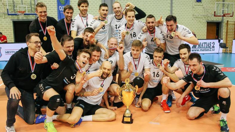 Calcit Kamnik - ACH Volley