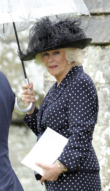 Mark Shand, Camilla, princ Charles