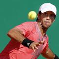 fernando verdasco