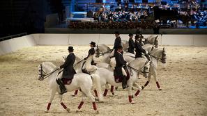 Petkov spektakel v Stožicah je zasenčila vest o poginu štirih živali, tudi konja