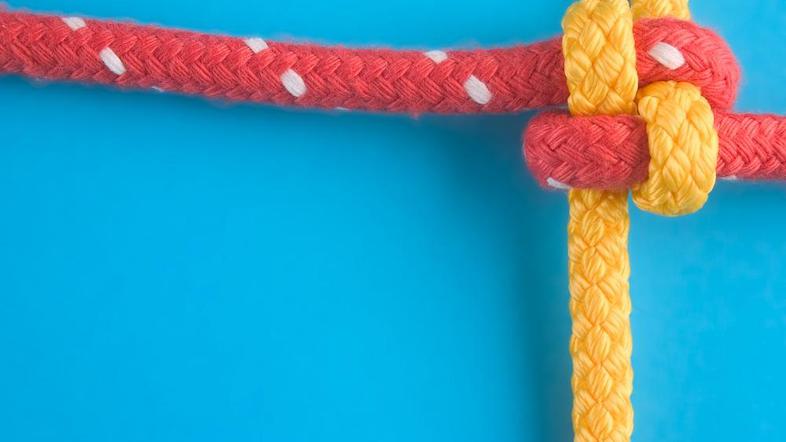 Zasebno in poslovno je vse bolj prepleteno. (Foto: Shutterstock)