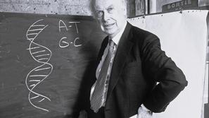 James Watson