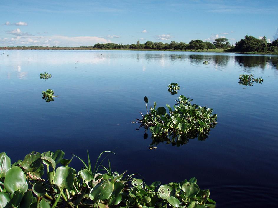 Pantanal, Brazilija