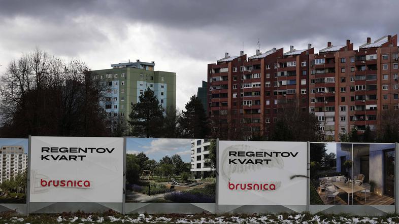 Regentov kvart brusnica