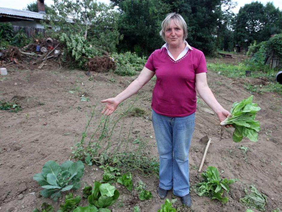 Podiranje barak se nadaljuje kljub prepovedi ljubljanskega župana Zorana Jankovi