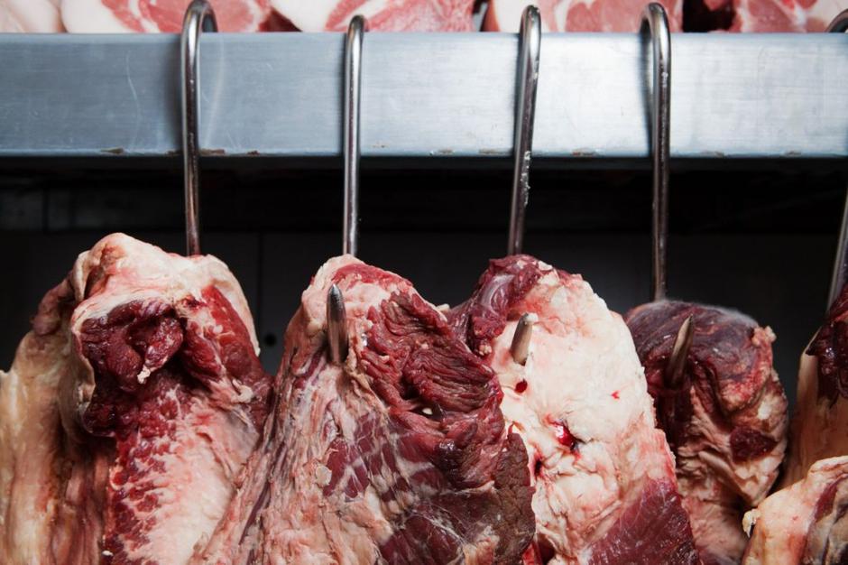 Meso | Avtor: Profimedias