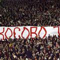 Je vodstvo Crvene zvezde goljufalo?