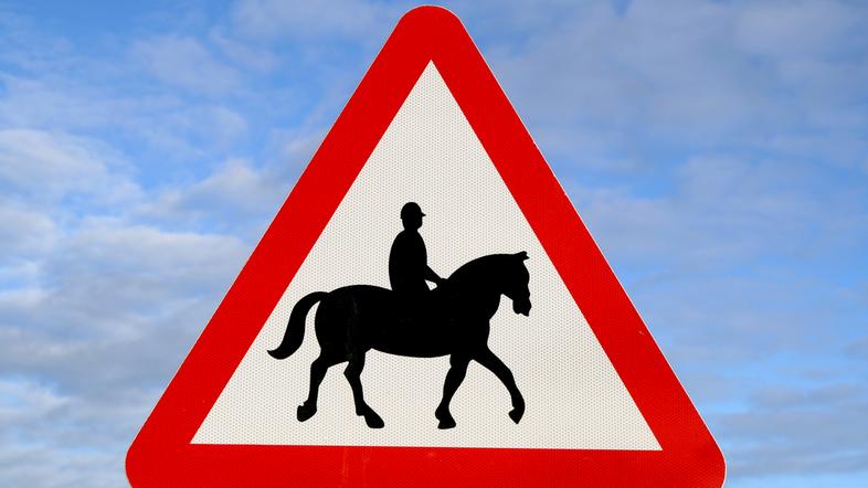 Znak za konja