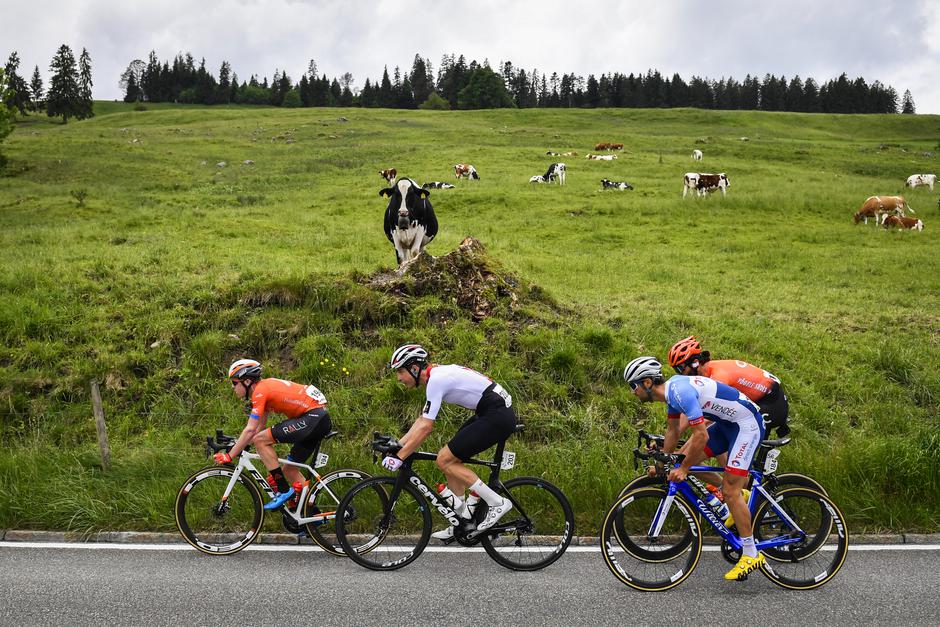 Dirka po Švici | Avtor: Epa